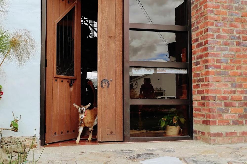 Cabanas & Glamping De Ruana Por Boyaca パイパ エクステリア 写真