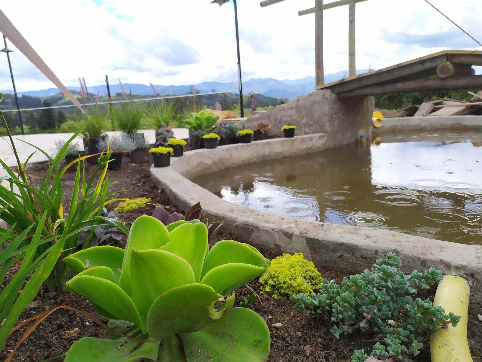 Cabanas & Glamping De Ruana Por Boyaca パイパ エクステリア 写真