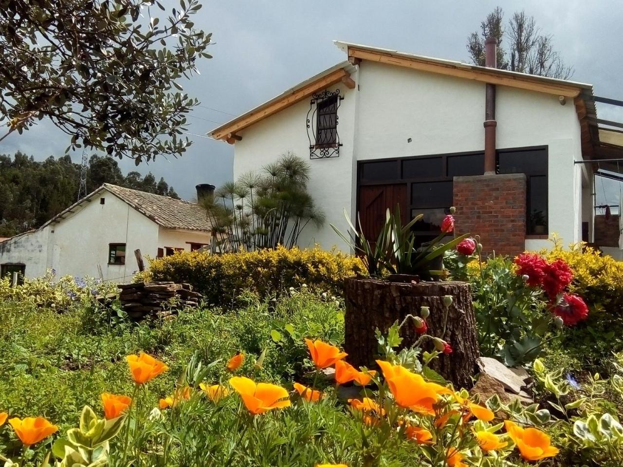 Cabanas & Glamping De Ruana Por Boyaca パイパ エクステリア 写真